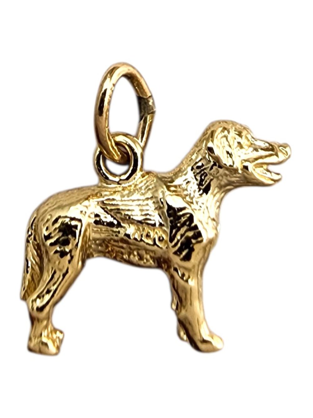 Rembrandt 14 Karat Yellow Gold Labrador Retriever Charm #24247